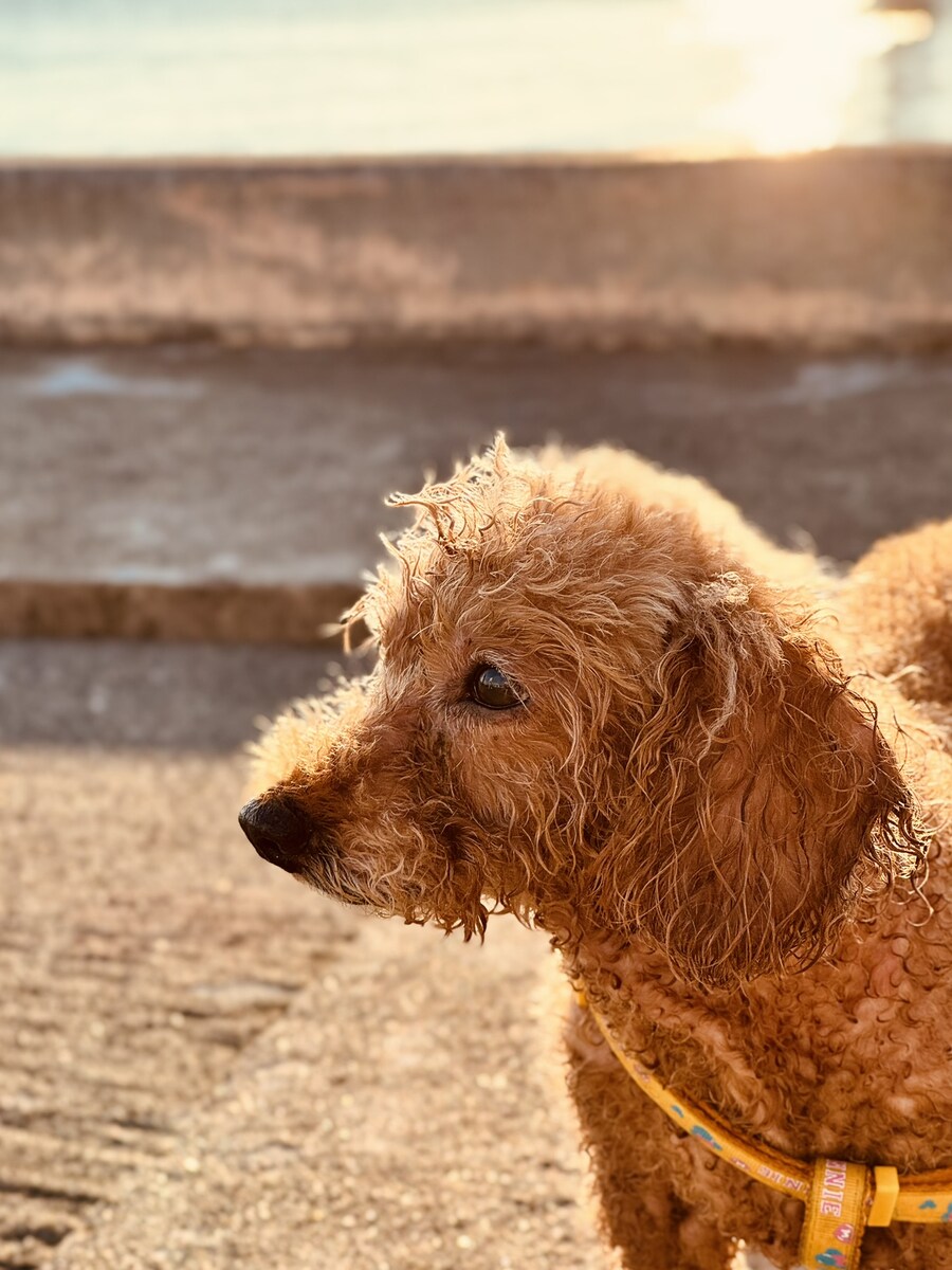 길을 걷다 만나는 작은 친구들_1.jpg
