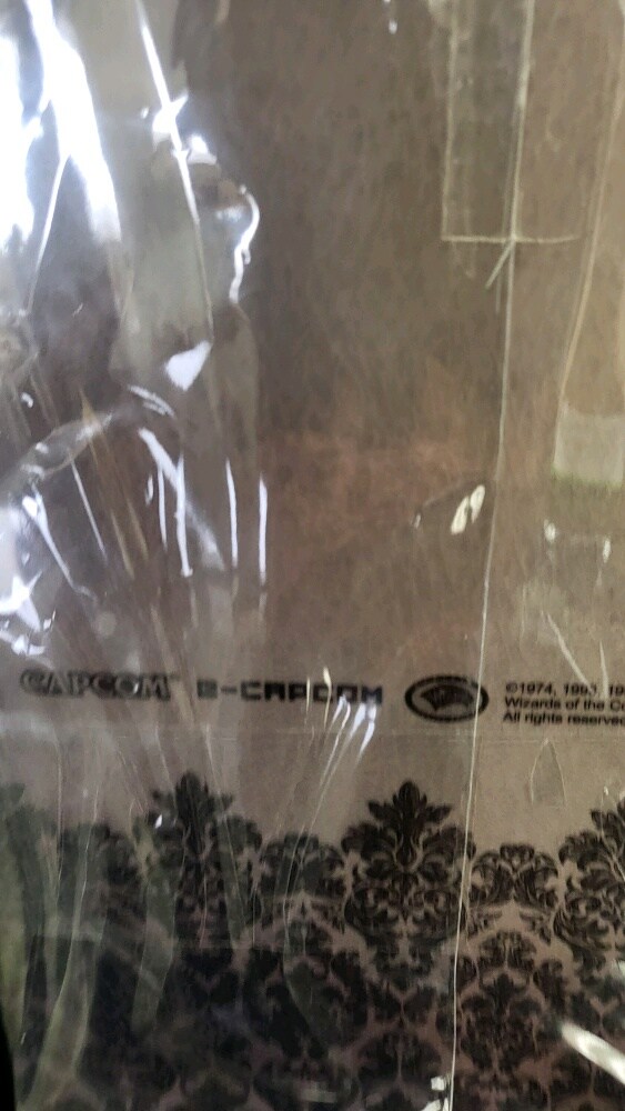 던전앤드래곤즈 E캡콤한정판_4.jpg