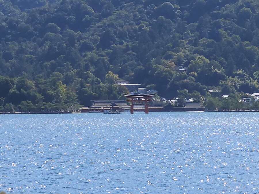 만성소화불량자의 8박9일 히로시마 여행 2일차 (미야지마)_8.jpg