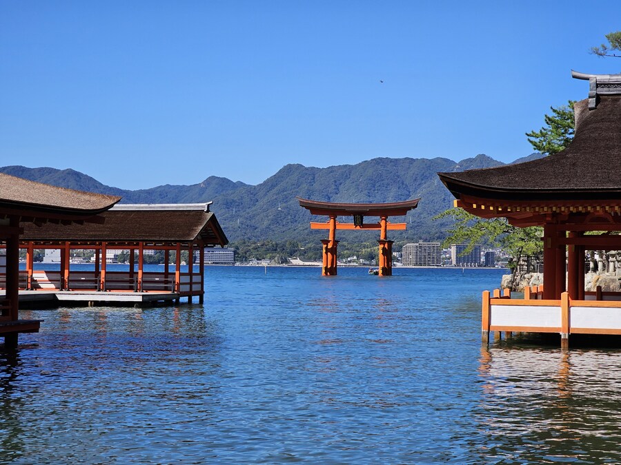 만성소화불량자의 8박9일 히로시마 여행 2일차 (미야지마)_30.jpg