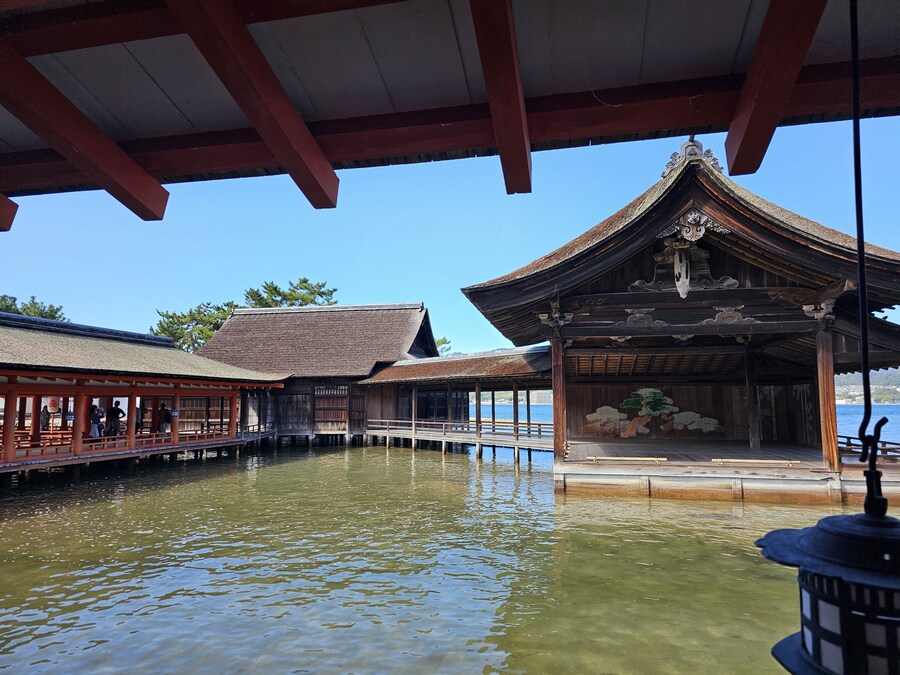 만성소화불량자의 8박9일 히로시마 여행 2일차 (미야지마)_43.jpg