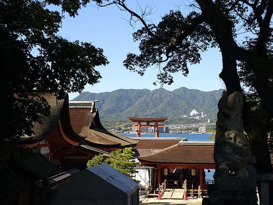 만성소화불량자의 8박9일 히로시마 여행 2일차 (미야지마)_51.jpg