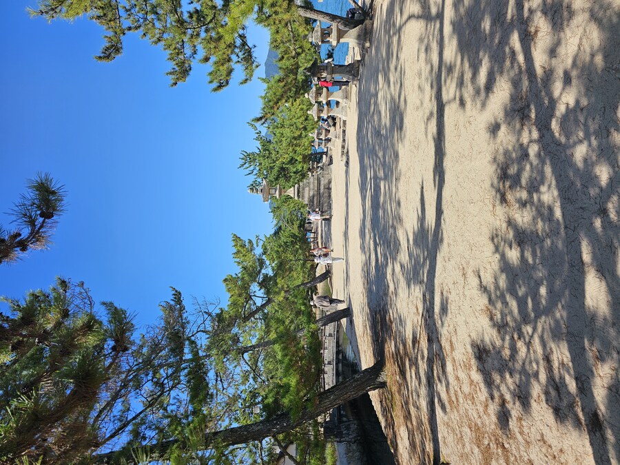 만성소화불량자의 8박9일 히로시마 여행 2일차 (미야지마)_50.jpg