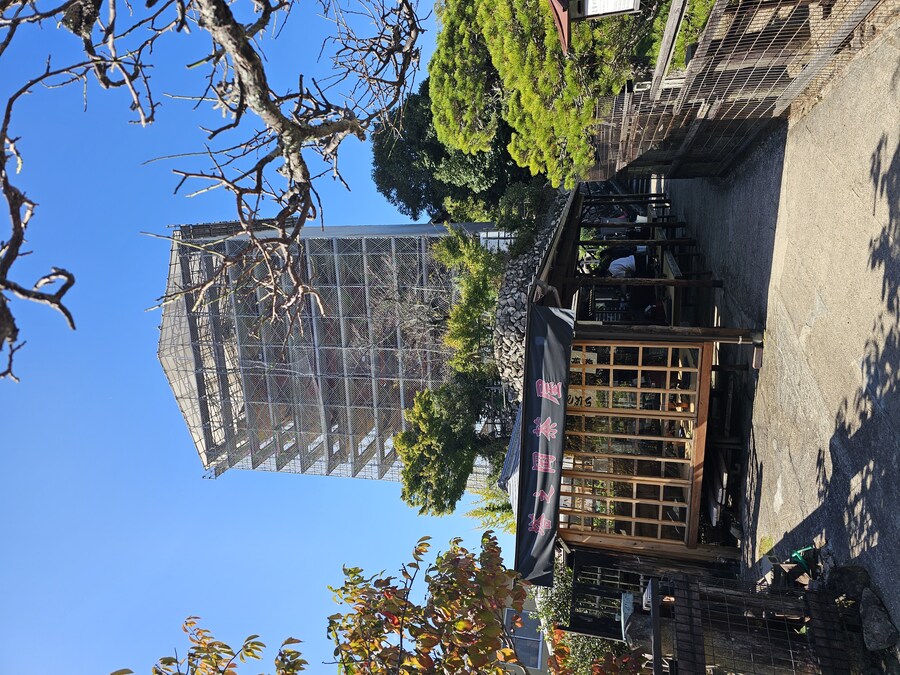 만성소화불량자의 8박9일 히로시마 여행 2일차 (미야지마)_53.jpg