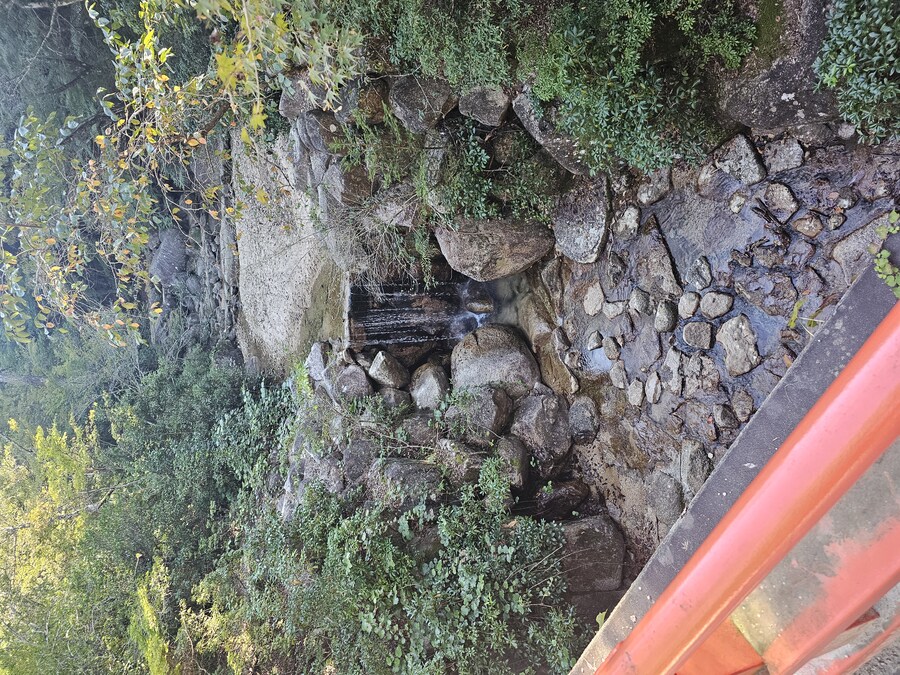 만성소화불량자의 8박9일 히로시마 여행 2일차 (미야지마)_72.jpg