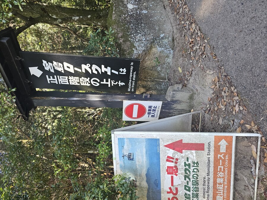 만성소화불량자의 8박9일 히로시마 여행 2일차 (미야지마)_73.jpg