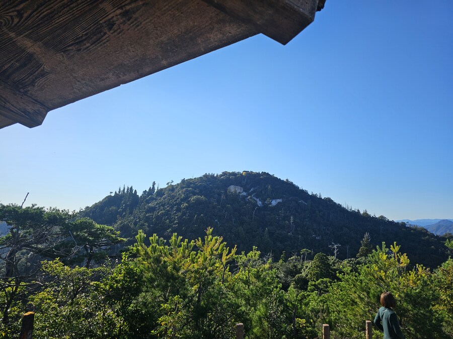 만성소화불량자의 8박9일 히로시마 여행 2일차 (미야지마)_83.jpg