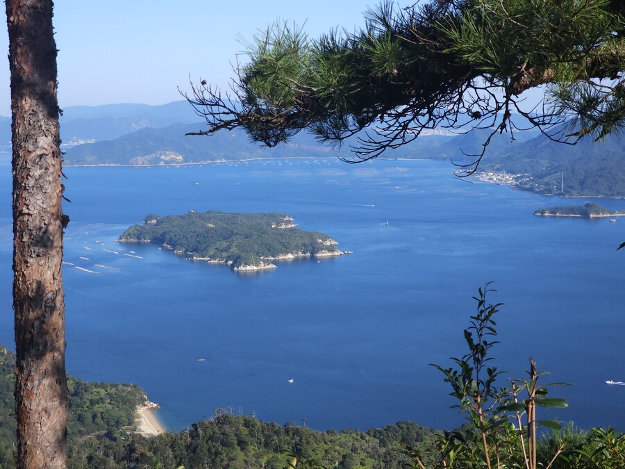 만성소화불량자의 8박9일 히로시마 여행 2일차 (미야지마)_89.jpg