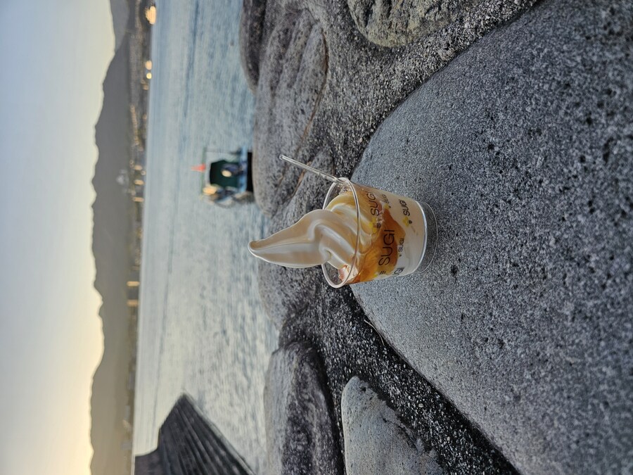 만성소화불량자의 8박9일 히로시마 여행 2일차 (미야지마)_105.jpg