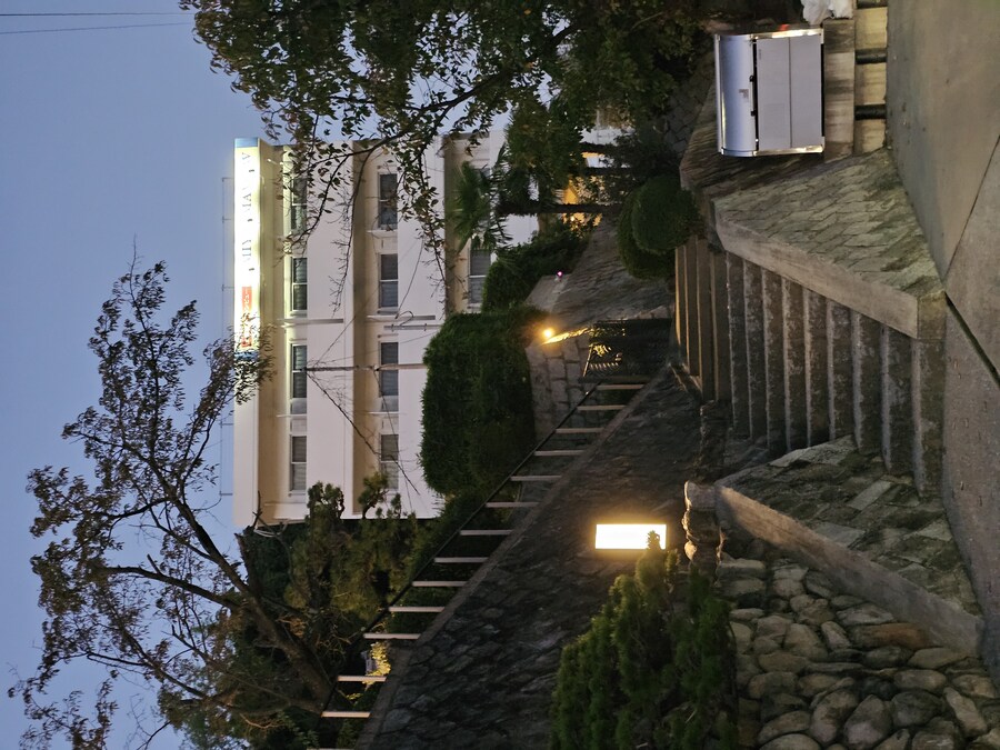 만성소화불량자의 8박9일 히로시마 여행 2일차 (미야지마)_124.jpg