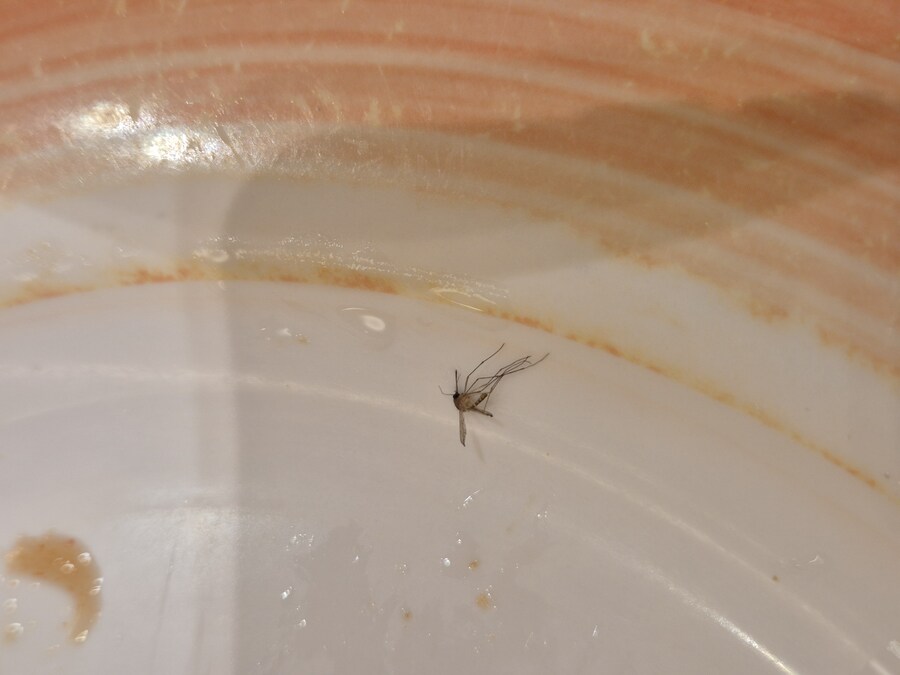 인천차이나타운 공화춘 본점_12.jpg