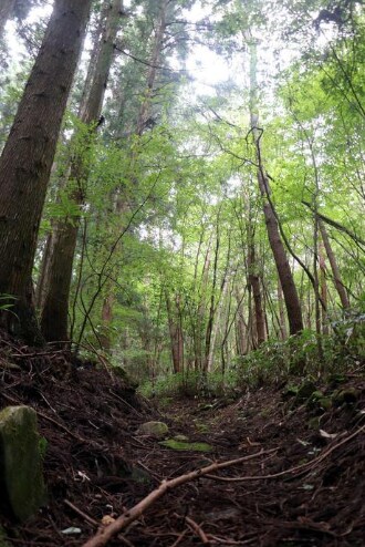 곰 대책 세우던 일본 초등학교 대참사_1.png