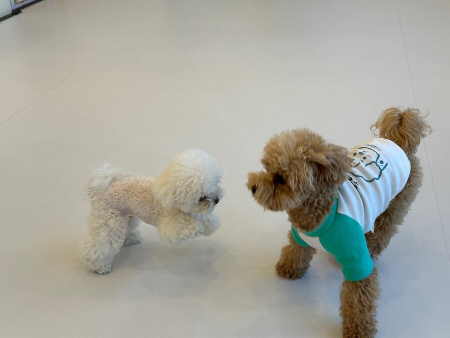 벌써 1년~~_11.jpg