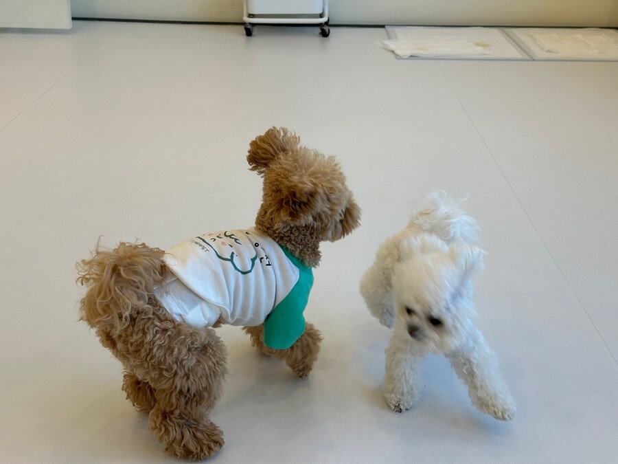 벌써 1년~~_13.jpg