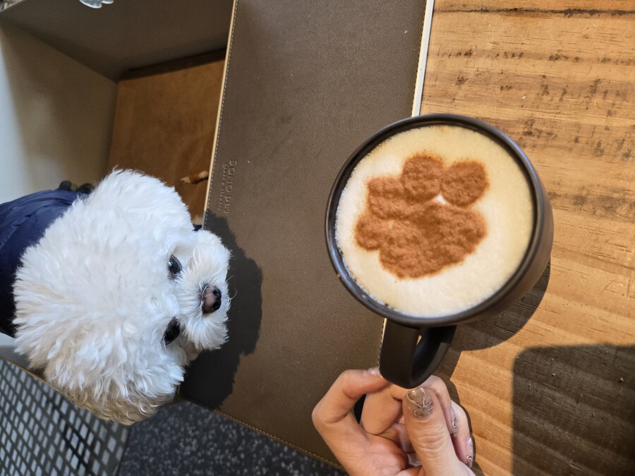 벌써 1년~~_18.jpg