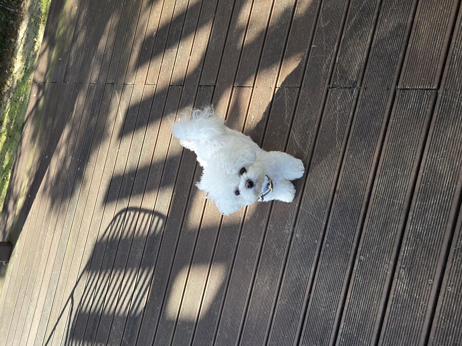 벌써 1년~~_22.jpg