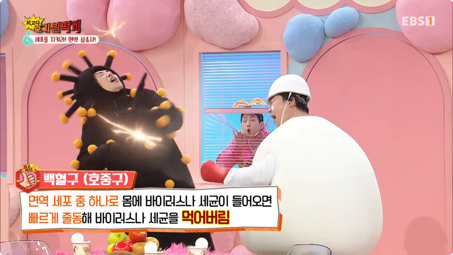 한국판 일하는 세포.jpg_4.jpg