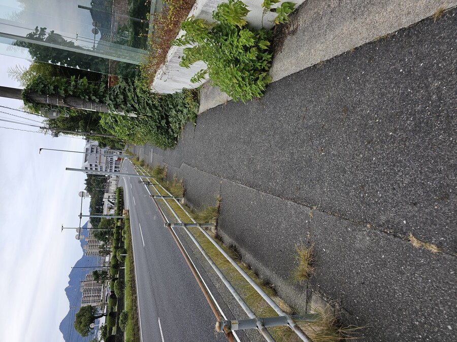 만성소화불량자의 8박9일 히로시마 여행 3일차 (타케하라1/2)_7.jpg