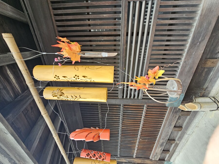 만성소화불량자의 8박9일 히로시마 여행 3일차 (타케하라1/2)_29.jpg