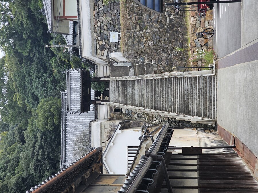 만성소화불량자의 8박9일 히로시마 여행 3일차 (타케하라1/2)_35.jpg