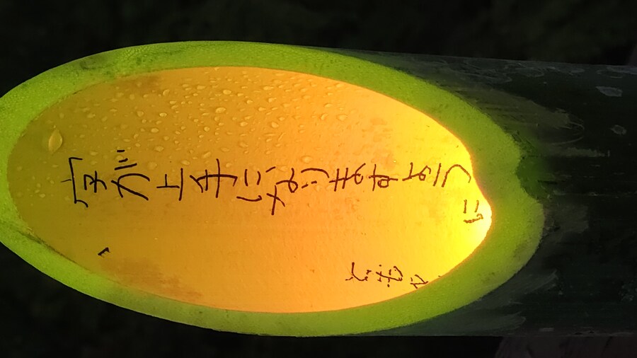 만성소화불량자의 8박9일 히로시마 여행 3일차 (타케하라1/2)_100.jpg