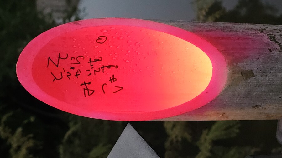 만성소화불량자의 8박9일 히로시마 여행 3일차 (타케하라1/2)_101.jpg