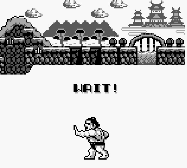 (GB)도카이도 바쇼(북미명 스모파이터)_4.jpg