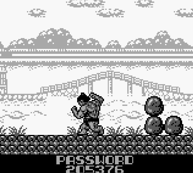 (GB)도카이도 바쇼(북미명 스모파이터)_11.jpg