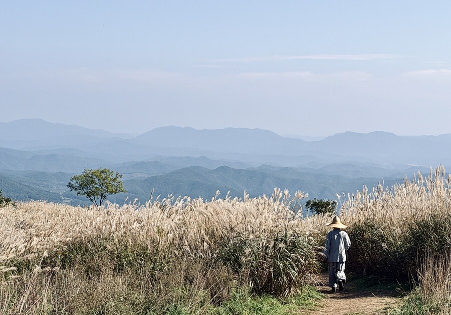 황매산 억새축제_1.jpg