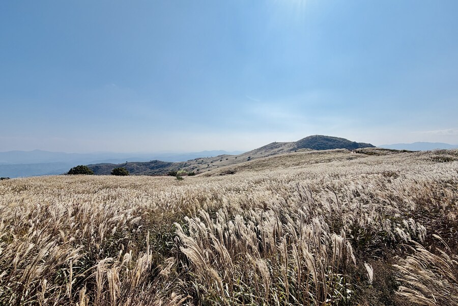 황매산 억새축제_3.jpg