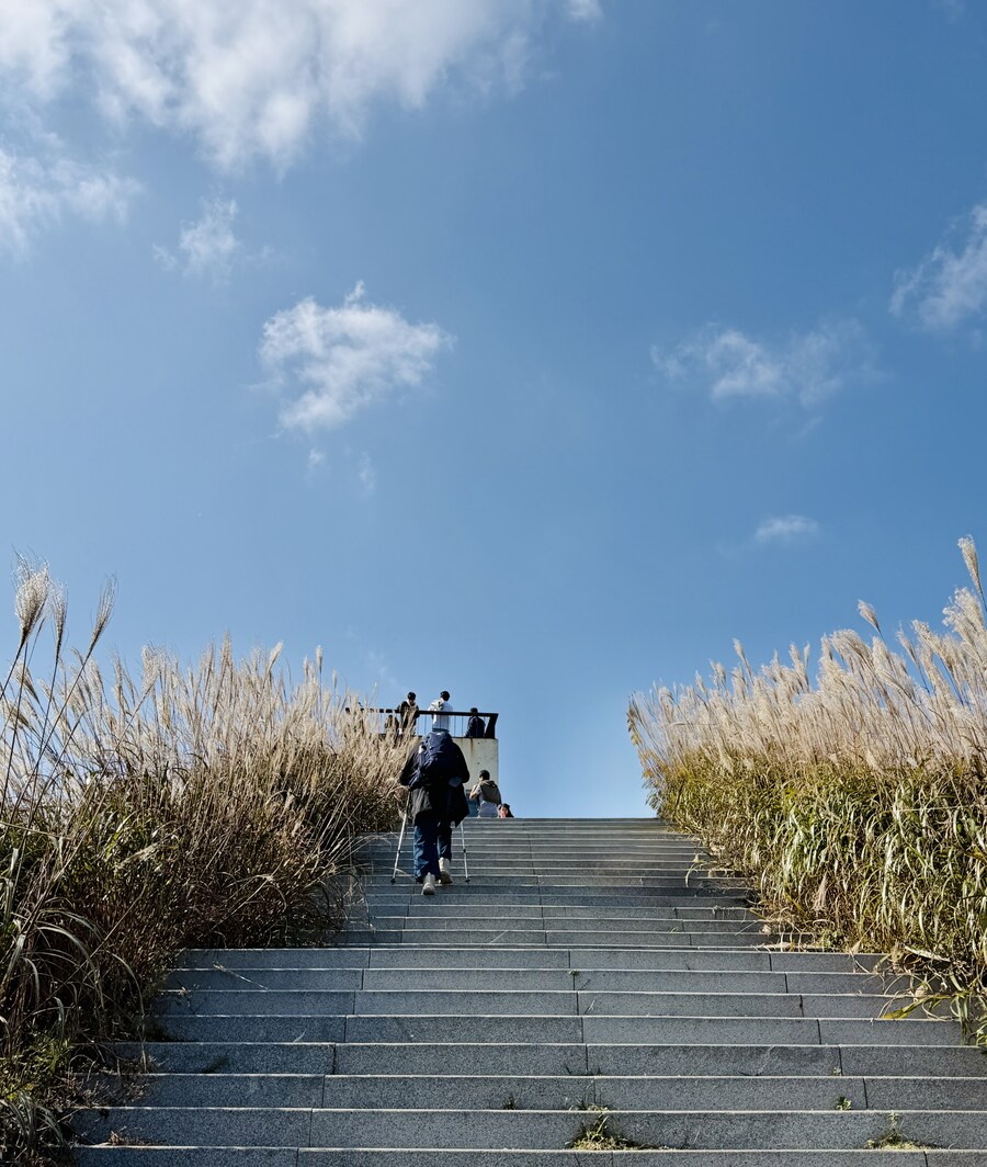 황매산 억새축제_17.jpg