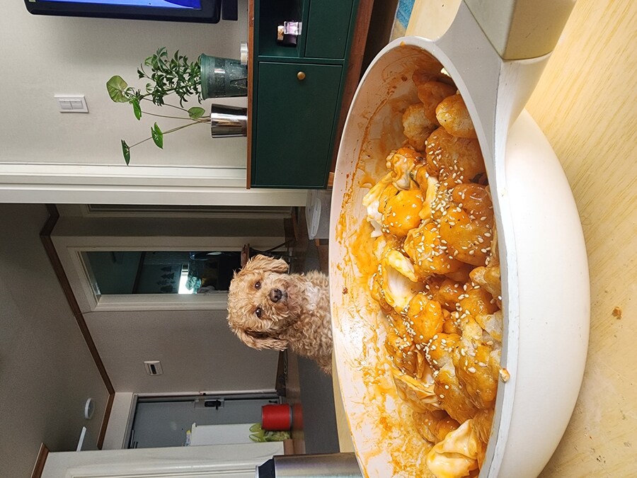 5000원 수육과 자취러 밥상 그리고 개_12.jpg