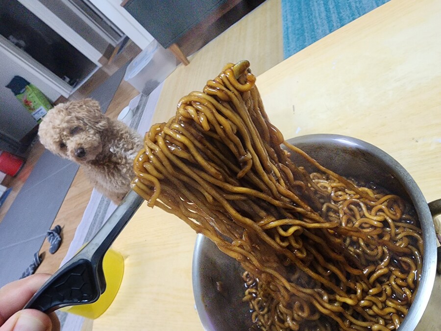 5000원 수육과 자취러 밥상 그리고 개_13.jpg