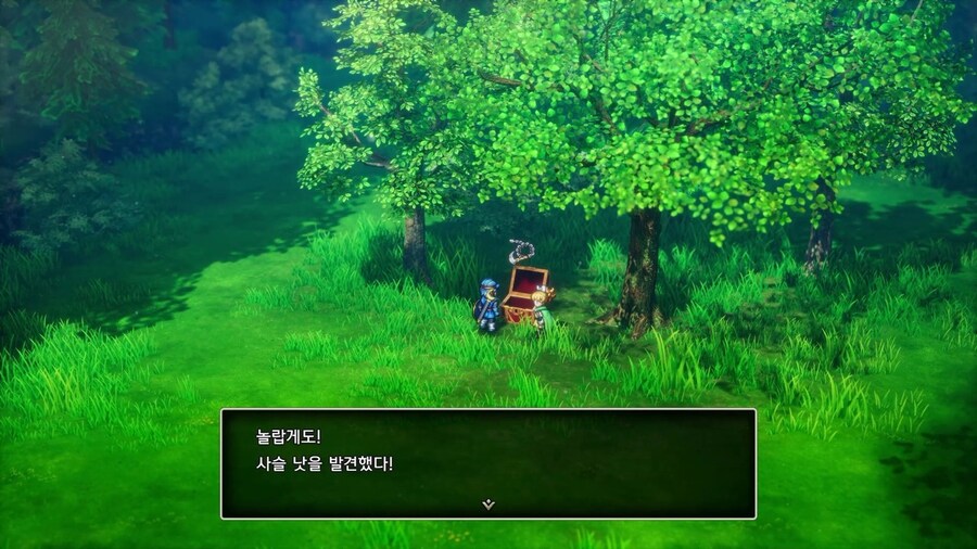 드퀘2 리메이크 - 게임 시작 후 배를 얻기 전까지 줍줍하며 가면 좋은 템들_11.jpg