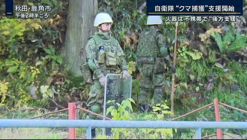 곰 때문에 자위대 파견한 일본 근황.jpg_2.jpg
