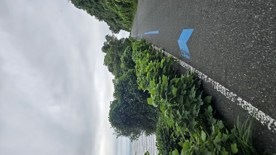 [일본] 일본 최대 호수 비와호 일주(스압)_22.jpg