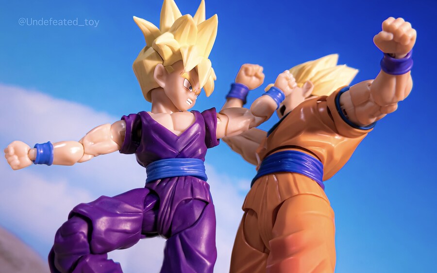 [SHF] 초사이어인 손오공 - 결전의 개막 -_52.jpg