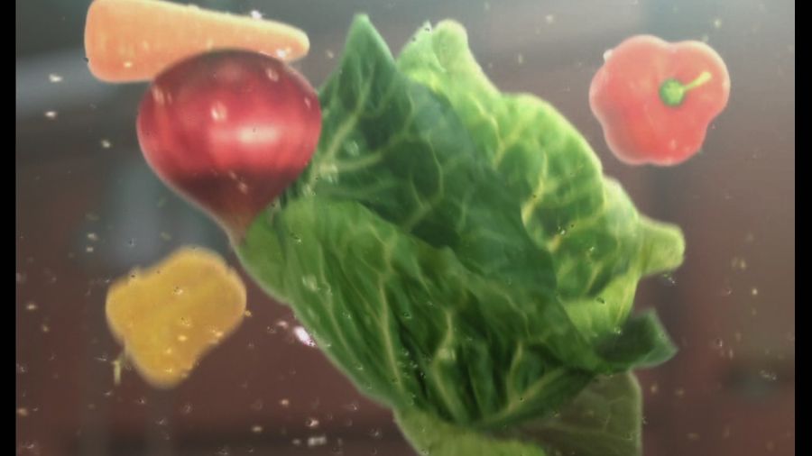 DEAD OR ALIVE 4_71.jpg