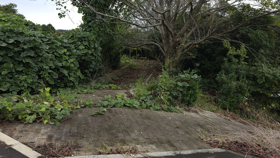 만성소화불량자의 8박9일 히로시마 여행 4일차 (타케하라2/2)_31.jpg