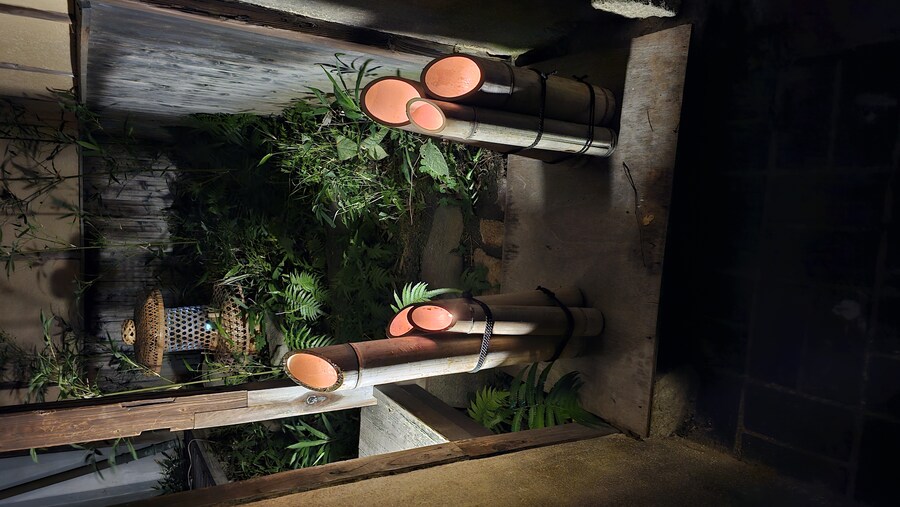 만성소화불량자의 8박9일 히로시마 여행 4일차 (타케하라2/2)_91.jpg