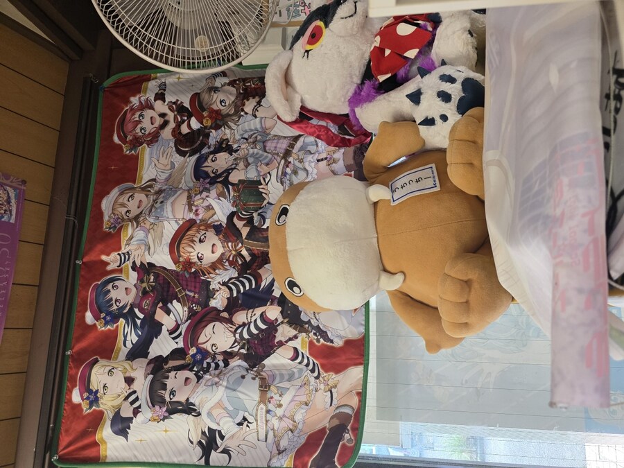 럽라) 누마즈 여행 2일차 - 우치우라 산노우라 관광안내소로_11.jpg