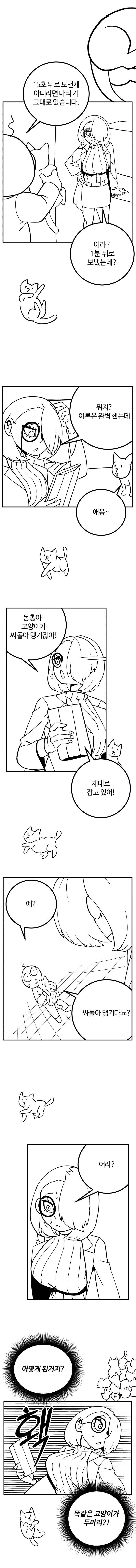 닥터 화이트와 타임머신_5.jpg