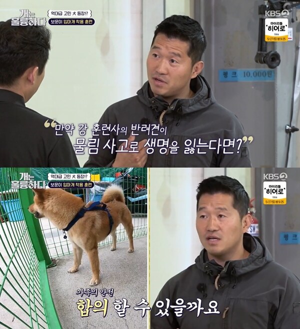 예능) '개는 훌륭하다' 강형욱 하차하니, 노잼이네 .._2.jpg