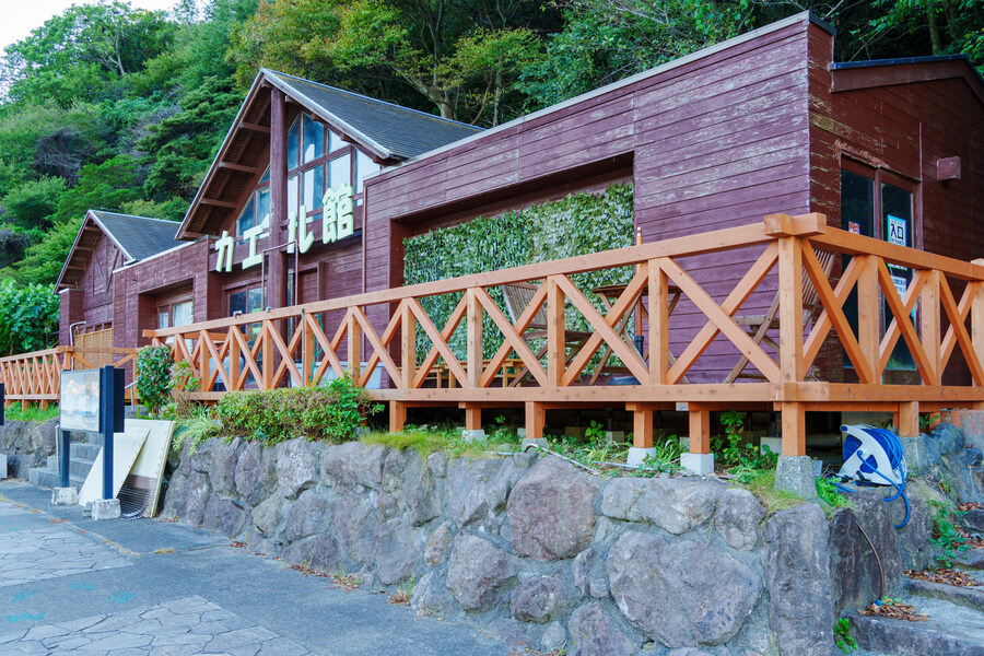 럽라) 누마즈 여행 2일차 - 우치우라 아와시마 마린파크_40.jpg