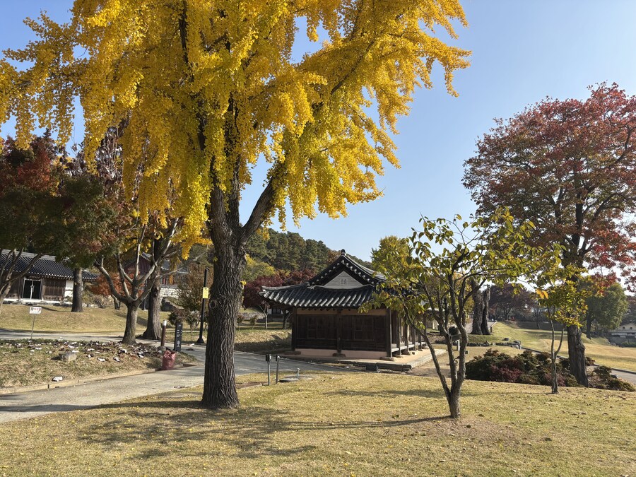 부여 놀러오세용_1.jpg