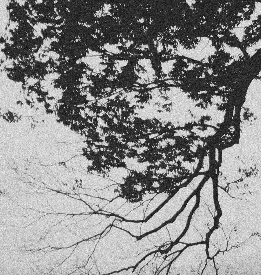 부여 가림성(성흥산성)_5.jpg