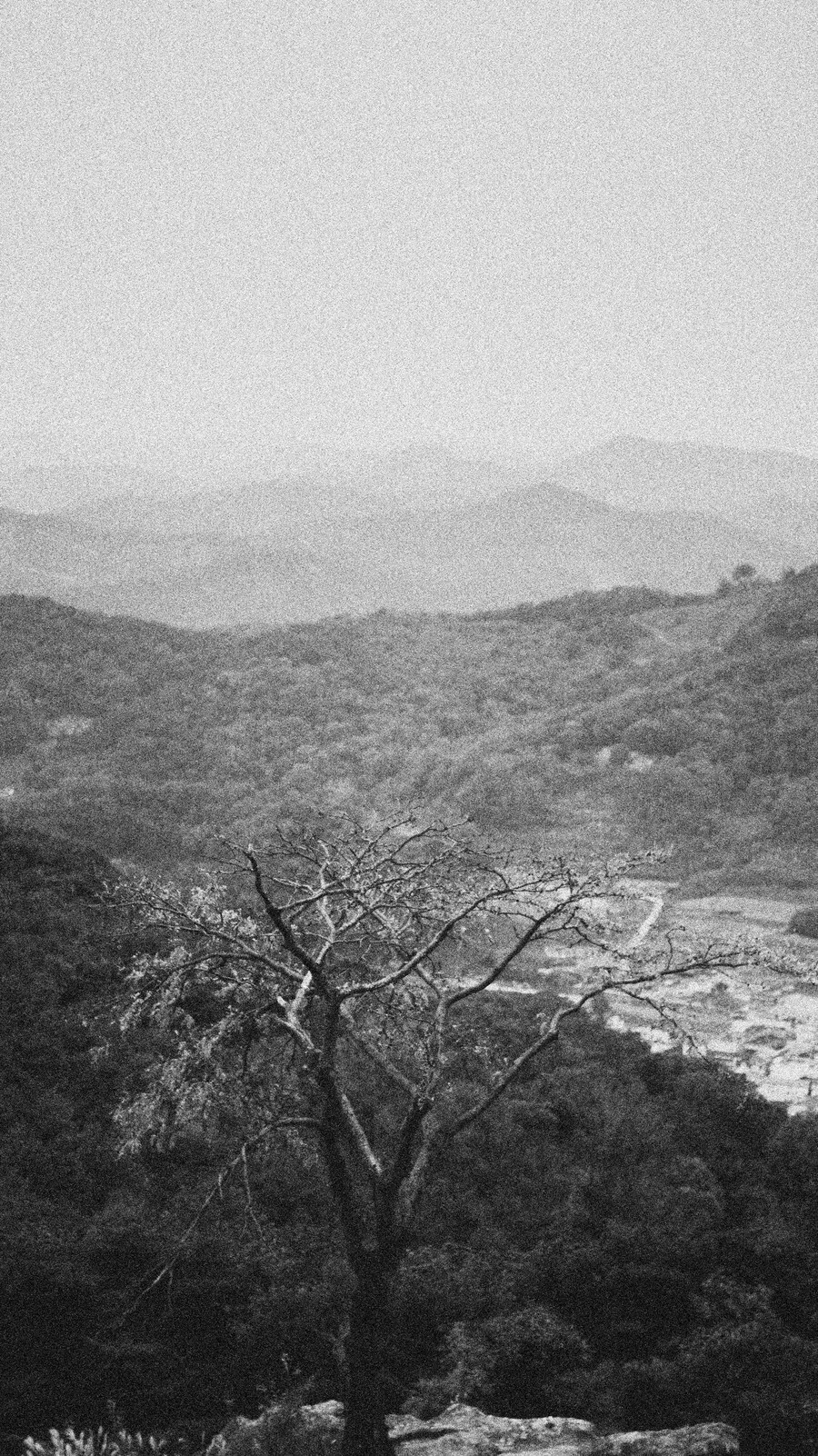 부여 가림성(성흥산성)_7.jpg