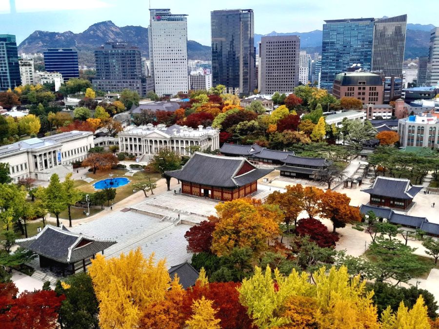 5대 궁궐의 가을 (사진많음)_1.jpg
