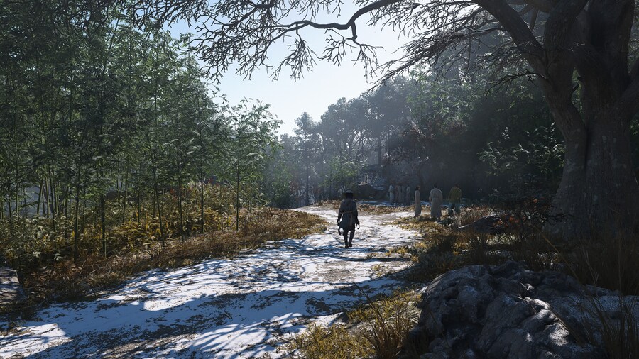 Assassin's Creed® Shadows_16.jpg