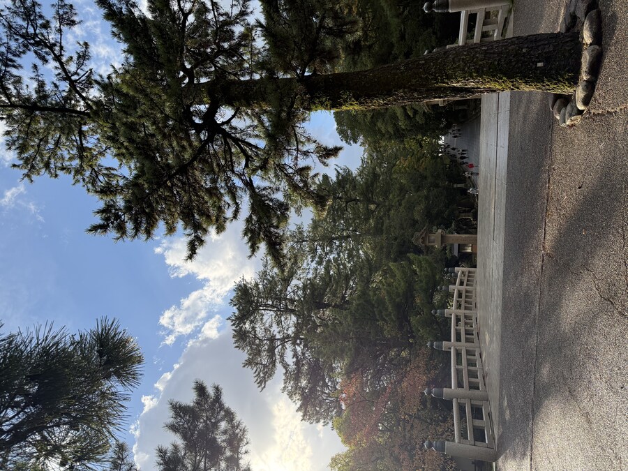 11월 2~7 5박6일 돗토리 요나고 여행 2일차 마쓰에.(스압)_17.jpg